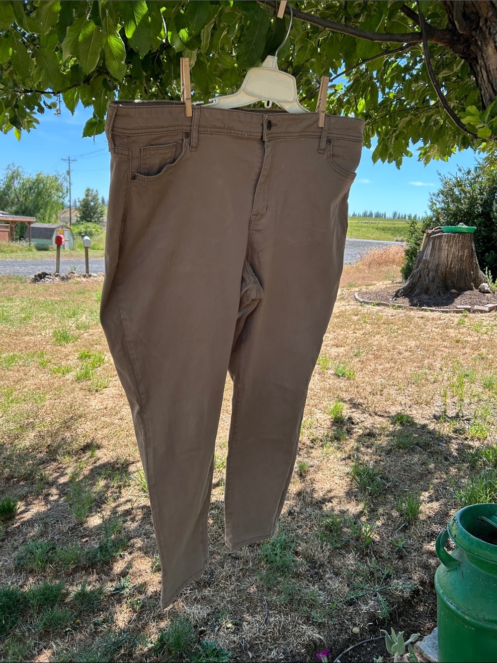 Sonoma Women’s Slim Fit Chino Pants in Brown 20W